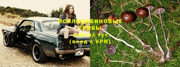 амф Алексеевка