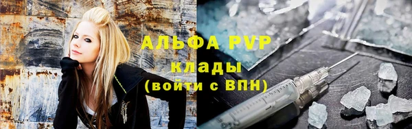 гидра Арсеньев