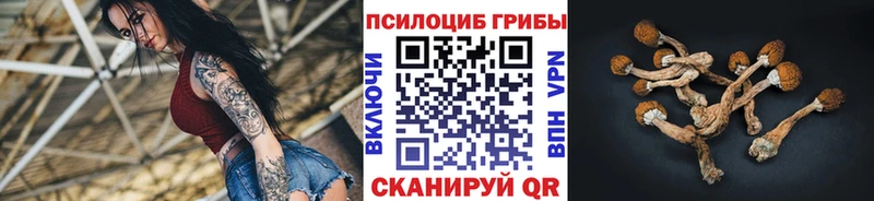 Псилоцибиновые грибы Psilocybine cubensis  blacksprut маркетплейс  Александровское 